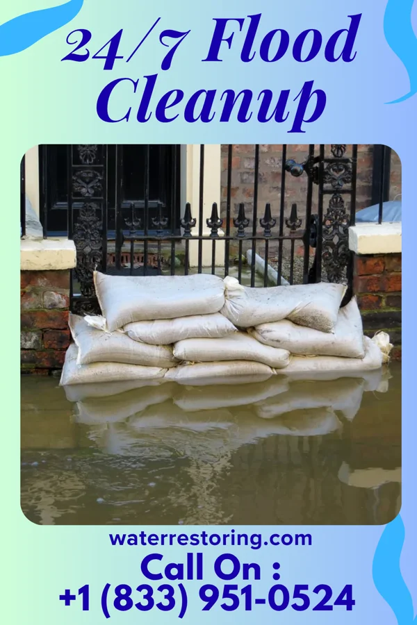 24/7 Flood Cleanup in Dover Beaches South, NJ