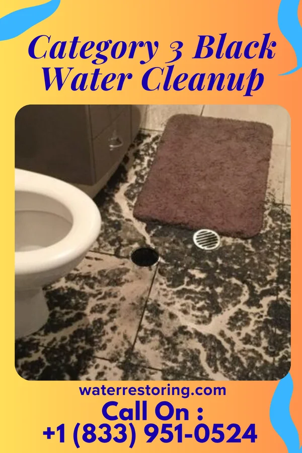 Category 3 Black Water Cleanup in Dover Beaches South, NJ
