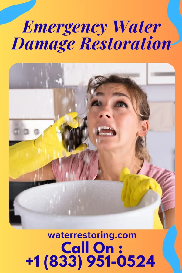 Emergency Water Damage Restoration in Dover Beaches South, NJ