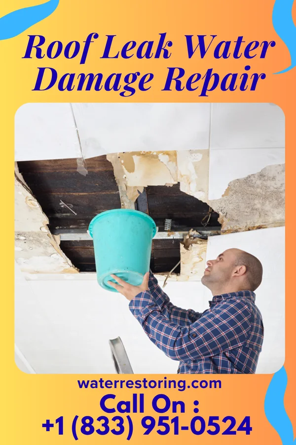 Roof Leak Water Damage Repair in Dover Beaches South, NJ