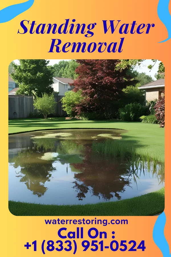 Standing Water Removal in Dover Beaches South, NJ